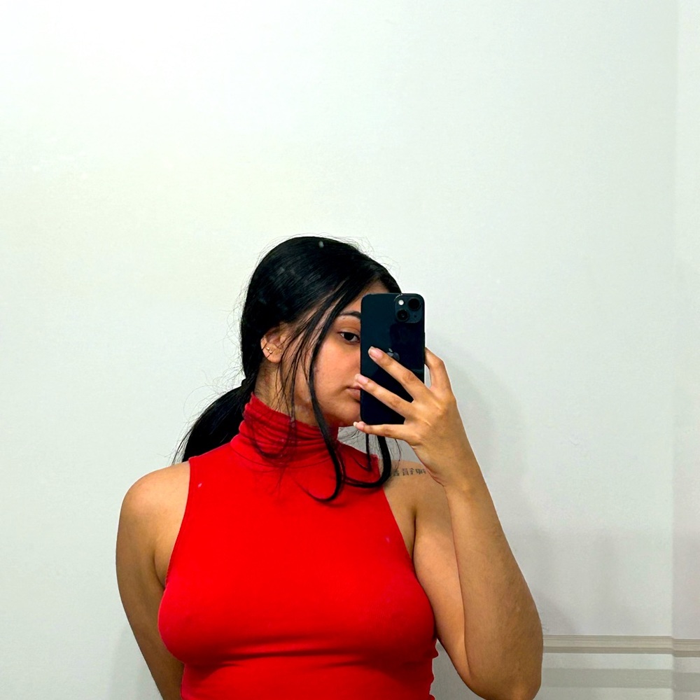 Cropped sundays best aritzia turtleneck sleeveless shirt